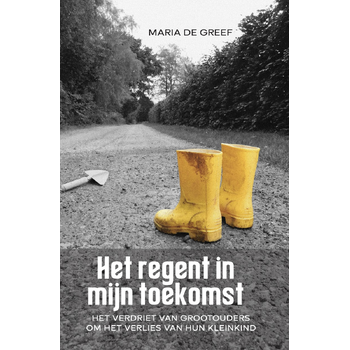 Het regent in mijn toekomst (Paperback) bij Singel 344