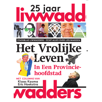 Het vrolijke leven in een provinciehoofdstad (Paperback) bij Singel 344