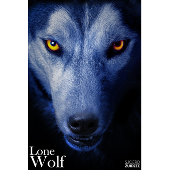 Lone wolf (Paperback) bij Singel 344