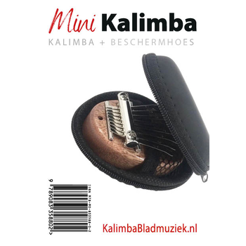 Mini-kalimba met beschermhoes bij Singel 344