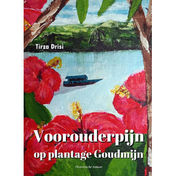 Voorouderpijn op plantage Goudmijn (Paperback) bij Singel 344