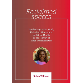 Reclaimed Spaces (Paperback) bij Singel 344