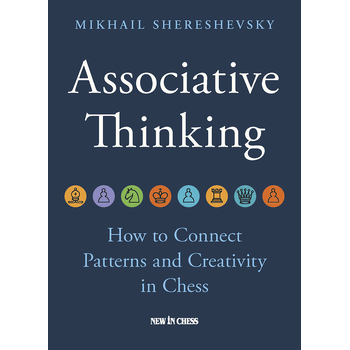 Associative Thinking (Paperback) bij Singel 344