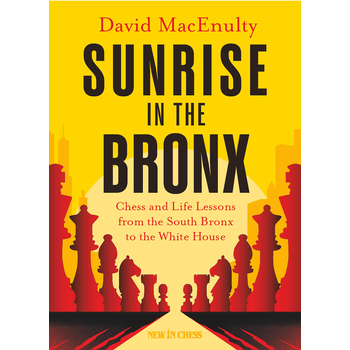 Sunrise in the Bronx (Paperback) bij Singel 344