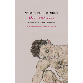 De uitverkorene (Paperback) bij Singel 344