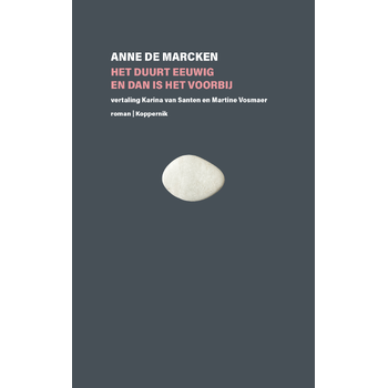 Het duurt eeuwig en dan is het voorbij (Paperback) bij Singel 344