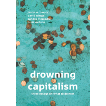 Drowning Capitalism (Paperback) bij Singel 344