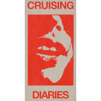 Cruizing Diaries (Paperback) bij Singel 344