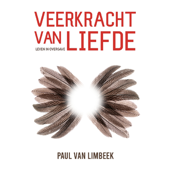 Veerkracht van liefde (Paperback) bij Singel 344