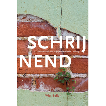 Schrijnend (Paperback) bij Singel 344