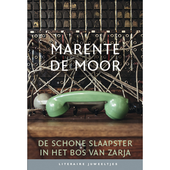De schone slaapster in het bos van Zarja (set van 10) (Hardback) bij Singel 344
