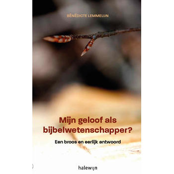 Mijn geloof als Bijbelwetenschapper? (Paperback) bij Singel 344
