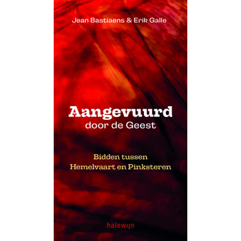 Aangevuurd door de geest (Paperback) bij Singel 344
