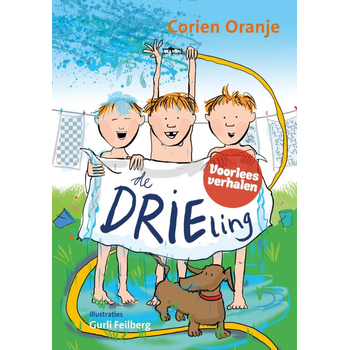 De drieling (Hardback) bij Singel 344