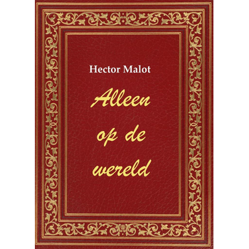 Alleen op de wereld (Paperback) bij Singel 344
