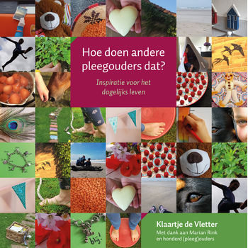 Hoe doen andere pleegouders dat? (Paperback) bij Singel 344