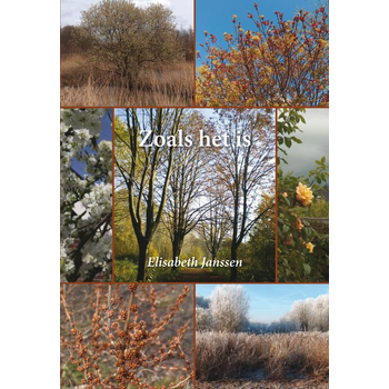 Zoals het is (Paperback) bij Singel 344