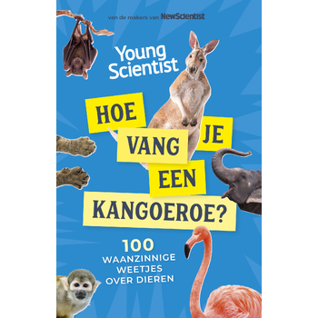 Hoe vang je een kangoeroe? (Paperback) bij Singel 344