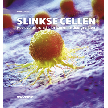 Slinkse cellen (Hardback) bij Singel 344