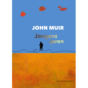 Jongensjaren (Paperback) bij Singel 344