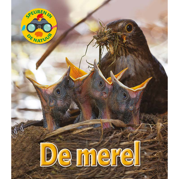 De merel (Hardback) bij Singel 344