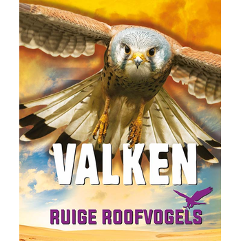 Valken (Hardback) bij Singel 344