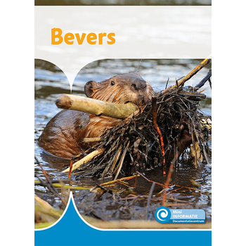 Bevers (Hardback) bij Singel 344