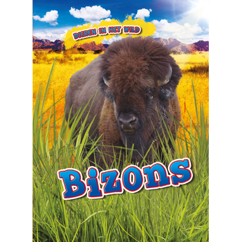 Bizons (Hardback) bij Singel 344