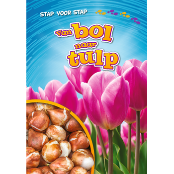 Van bol naar tulp (Hardback) bij Singel 344