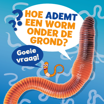 Hoe ademt een worm onder de grond? (Hardback) bij Singel 344