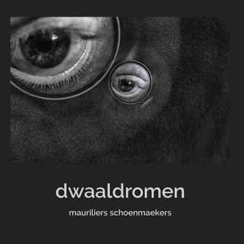 Dwaaldromen (Paperback) bij Singel 344
