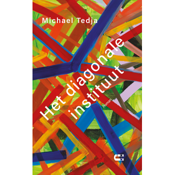Het diagonale instituut (Paperback) bij Singel 344