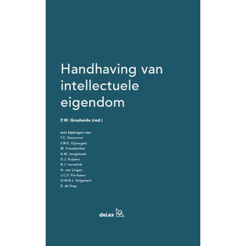 Handhaving van intellectuele eigendom (Hardback) bij Singel 344