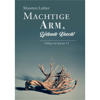 Machtige Arm, lijdende Knecht (Hardback) bij Singel 344