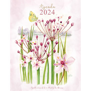 Mattie agenda 2024 (Paperback) bij Singel 344