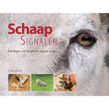 Schaapsignalen (Hardback) bij Singel 344