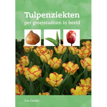 Tulpenziekten (Paperback) bij Singel 344