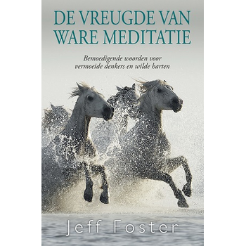 De vreugde van ware meditatie (Paperback) bij Singel 344
