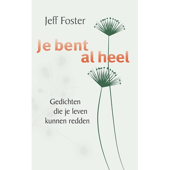 Je bent al heel (Hardback) bij Singel 344