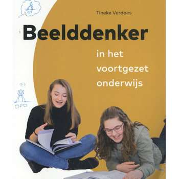 Beelddenker in het voortgezet onderwijs (Paperback) bij Singel 344