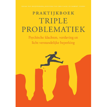 Praktijkboek triple problematiek (Paperback) bij Singel 344
