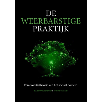 De weerbarstige praktijk (Paperback) bij Singel 344