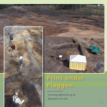 Prins onder plaggen (Paperback) bij Singel 344