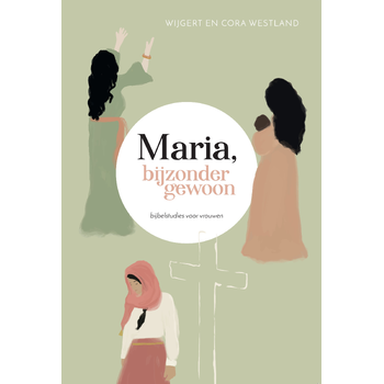 Maria, bijzonder gewoon (Paperback) bij Singel 344