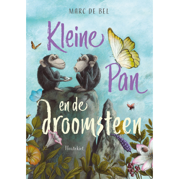 Kleine Pan en de droomsteen (Hardback) bij Singel 344
