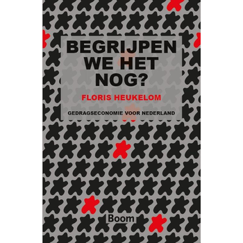 Begrijpen we het nog? (Paperback) bij Singel 344