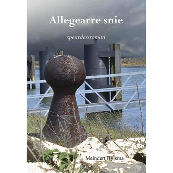 Allegearre snie (Paperback) bij Singel 344