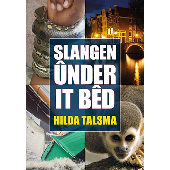 Slangen ûnder it bêd (Paperback) van Hilda Talsma