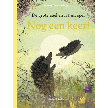 Nog een keer (Hardback) bij Singel 344