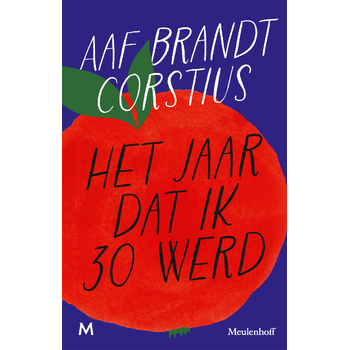 Het jaar dat ik 30 werd (Paperback) bij Singel 344